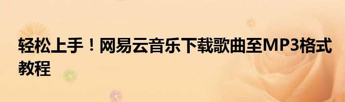 轻松上手！网易云音乐下载歌曲至MP3格式教程