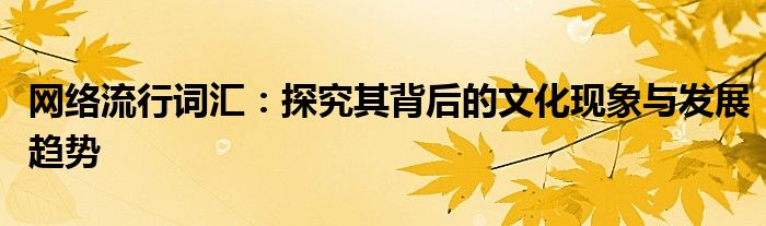 网络流行词汇：探究其背后的文化现象与发展趋势