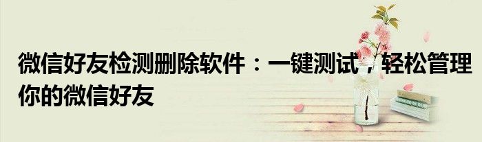 微信好友检测删除软件：一键测试，轻松管理你的微信好友