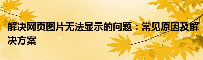 解决网页图片无法显示的问题：常见原因及解决方案