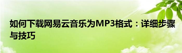 如何下载网易云音乐为MP3格式：详细步骤与技巧