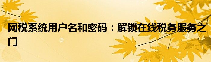 网税系统用户名和密码：解锁在线税务服务之门