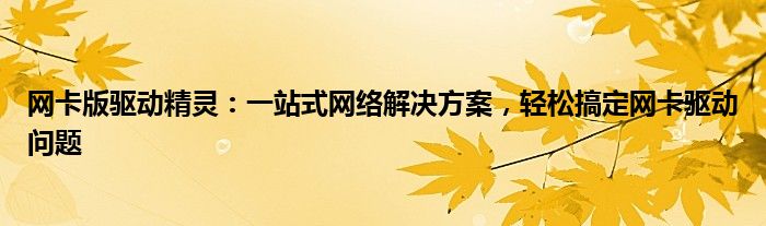 网卡版驱动精灵：一站式网络解决方案，轻松搞定网卡驱动问题