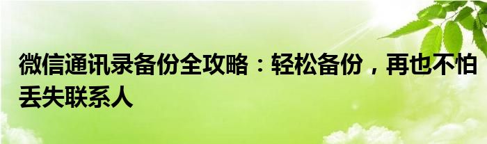 微信通讯录备份全攻略：轻松备份，再也不怕丢失联系人