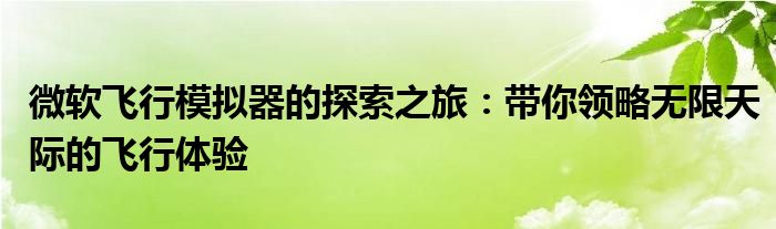 微软飞行模拟器的探索之旅：带你领略无限天际的飞行体验