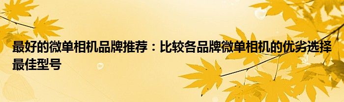 最好的微单相机品牌推荐：比较各品牌微单相机的优劣选择最佳型号