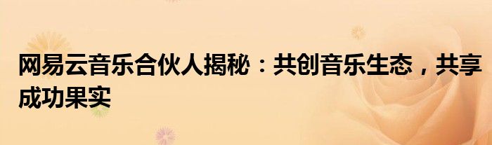 网易云音乐合伙人揭秘：共创音乐生态，共享成功果实