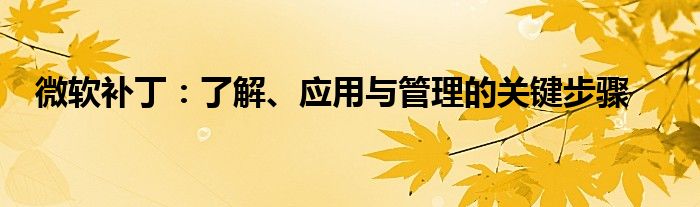 微软补丁：了解、应用与管理的关键步骤