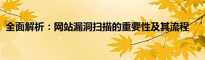 全面解析：网站漏洞扫描的重要性及其流程