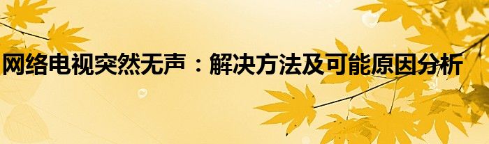 网络电视突然无声：解决方法及可能原因分析