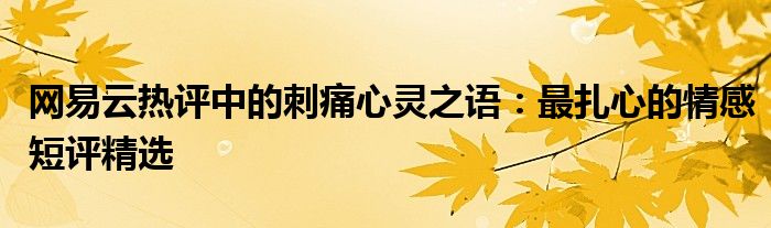 网易云热评中的刺痛心灵之语：最扎心的情感短评精选