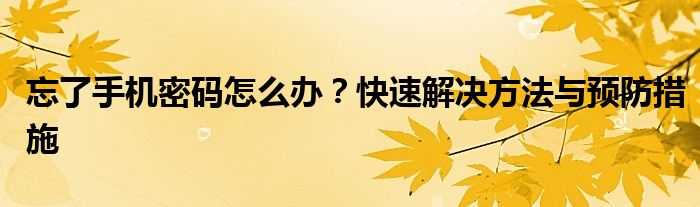 忘了手机密码怎么办？快速解决方法与预防措施