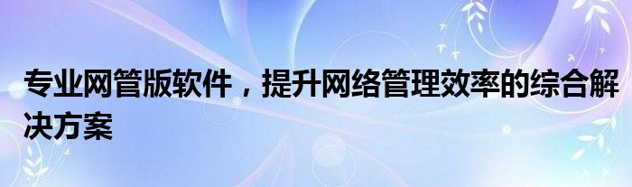 专业网管版软件，提升网络管理效率的综合解决方案