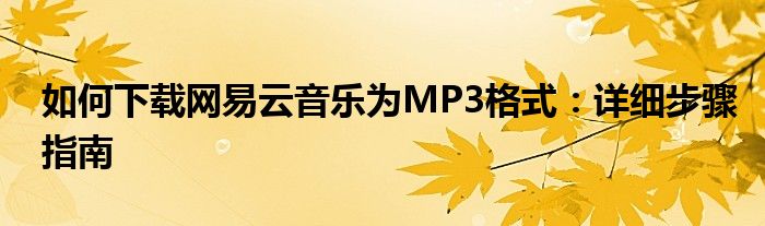 如何下载网易云音乐为MP3格式：详细步骤指南