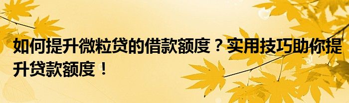 如何提升微粒贷的借款额度？实用技巧助你提升贷款额度！