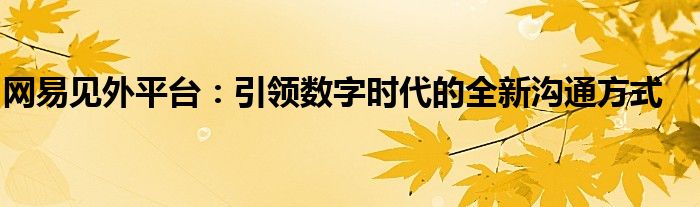 网易见外平台：引领数字时代的全新沟通方式