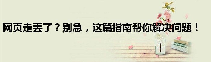 网页走丢了？别急，这篇指南帮你解决问题！