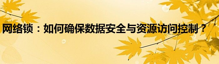 网络锁：如何确保数据安全与资源访问控制？