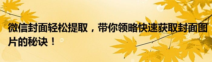 微信封面轻松提取，带你领略快速获取封面图片的秘诀！