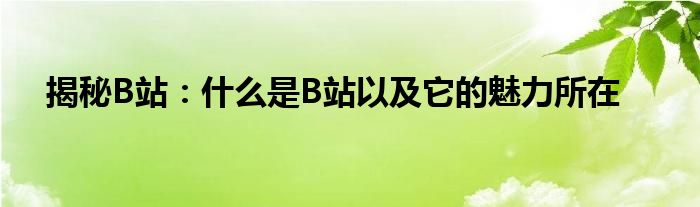 揭秘B站：什么是B站以及它的魅力所在