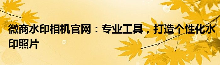 微商水印相机官网：专业工具，打造个性化水印照片