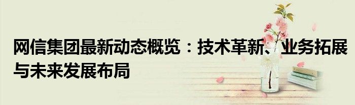 网信集团最新动态概览：技术革新、业务拓展与未来发展布局