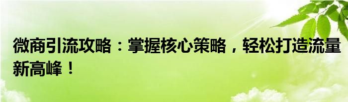 微商引流攻略：掌握核心策略，轻松打造流量新高峰！