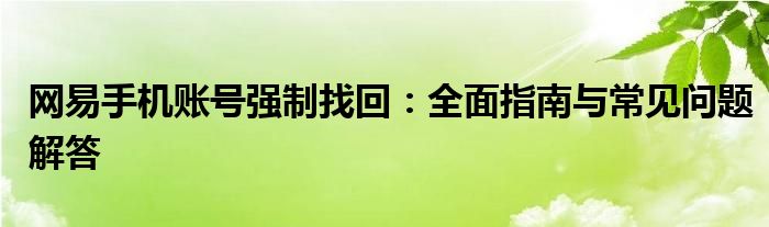 网易手机账号强制找回：全面指南与常见问题解答