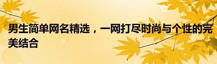 男生简单网名精选，一网打尽时尚与个性的完美结合