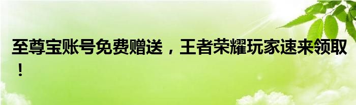 至尊宝账号免费赠送，王者荣耀玩家速来领取！
