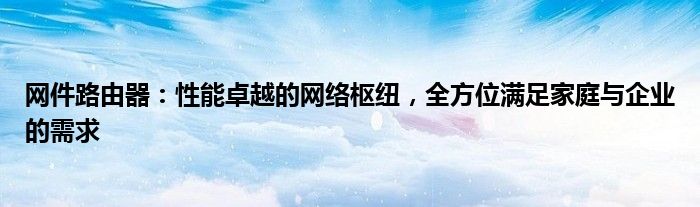 网件路由器：性能卓越的网络枢纽，全方位满足家庭与企业的需求