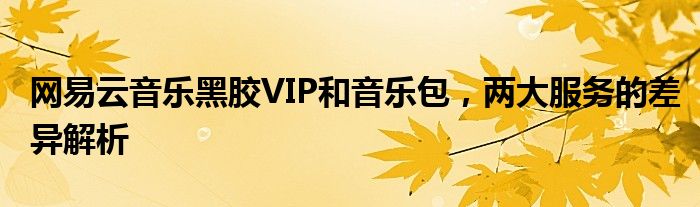 网易云音乐黑胶VIP和音乐包，两大服务的差异解析