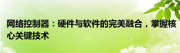 网络控制器：硬件与软件的完美融合，掌握核心关键技术