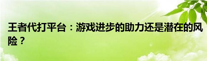 王者代打平台：游戏进步的助力还是潜在的风险？