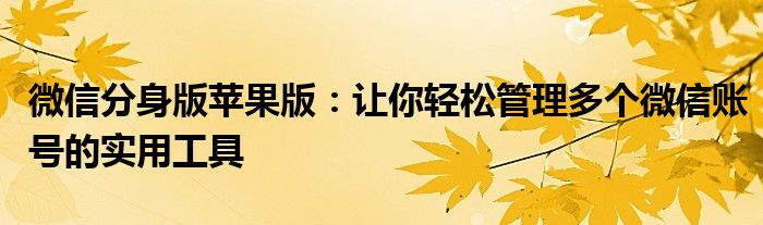 微信分身版苹果版：让你轻松管理多个微信账号的实用工具