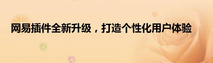 网易插件全新升级，打造个性化用户体验