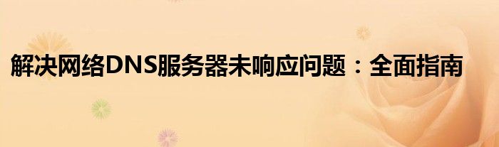 解决网络DNS服务器未响应问题：全面指南