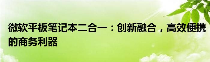 微软平板笔记本二合一：创新融合，高效便携的商务利器
