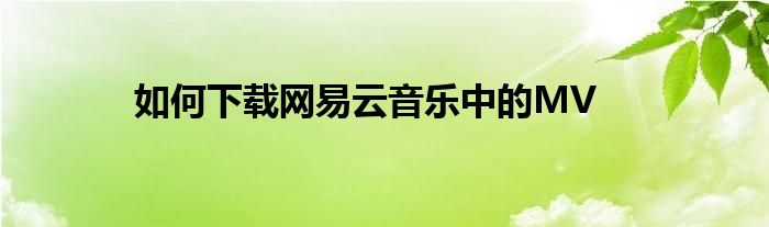 如何下载网易云音乐中的MV