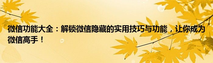 微信功能大全：解锁微信隐藏的实用技巧与功能，让你成为微信高手！