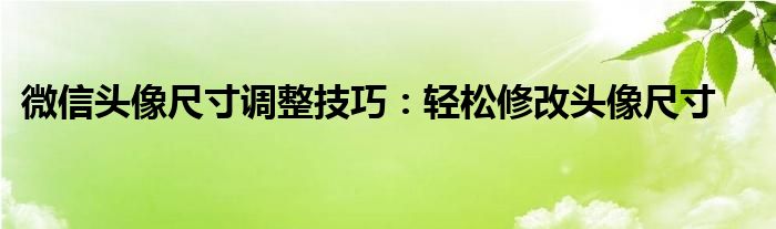 微信头像尺寸调整技巧：轻松修改头像尺寸