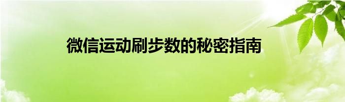 微信运动刷步数的秘密指南