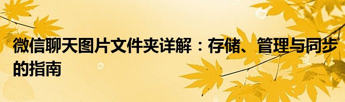 微信聊天图片文件夹详解：存储、管理与同步的指南