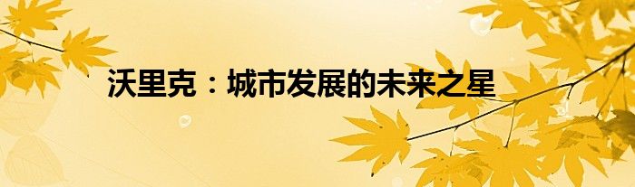沃里克：城市发展的未来之星