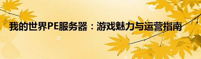 我的世界PE服务器：游戏魅力与运营指南