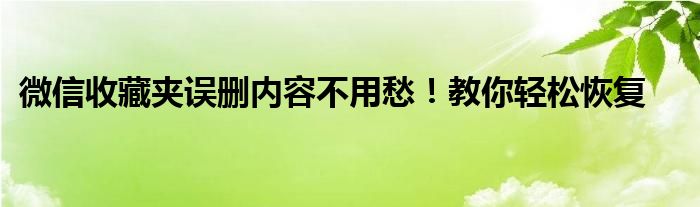 微信收藏夹误删内容不用愁！教你轻松恢复