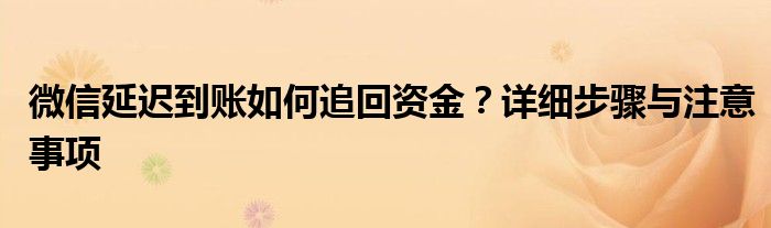 微信延迟到账如何追回资金？详细步骤与注意事项