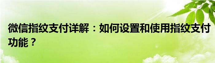 微信指纹支付详解：如何设置和使用指纹支付功能？