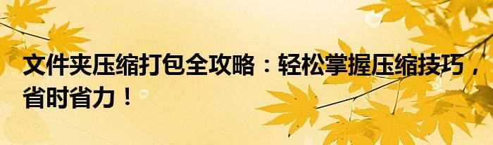 文件夹压缩打包全攻略：轻松掌握压缩技巧，省时省力！