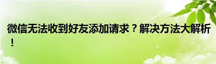 微信无法收到好友添加请求？解决方法大解析！